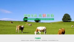 常寧市*興冶化實業(yè)有限責(zé)任公司制作網(wǎng)站基本流程