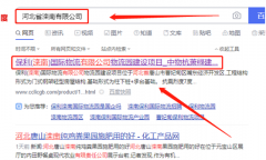 保*(灤南)國(guó)際物流有限公司網(wǎng)站建設(shè)案例欣賞