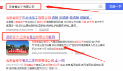 云南省*業(yè)有限公司網站建設參考網站