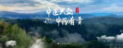 普洱淞*醫(yī)藥集團(tuán)有限公司網(wǎng)站建設(shè)新一代自助建站、智能建站系統(tǒng)