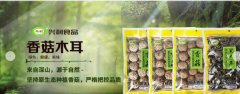 鐘祥興*食品股份有限公司企業(yè)網站建設可視化建站作品欣賞