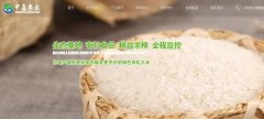 豐城市中*農(nóng)業(yè)發(fā)展有限公司網(wǎng)站建設(shè)新一代自助建站、智能建站系統(tǒng)